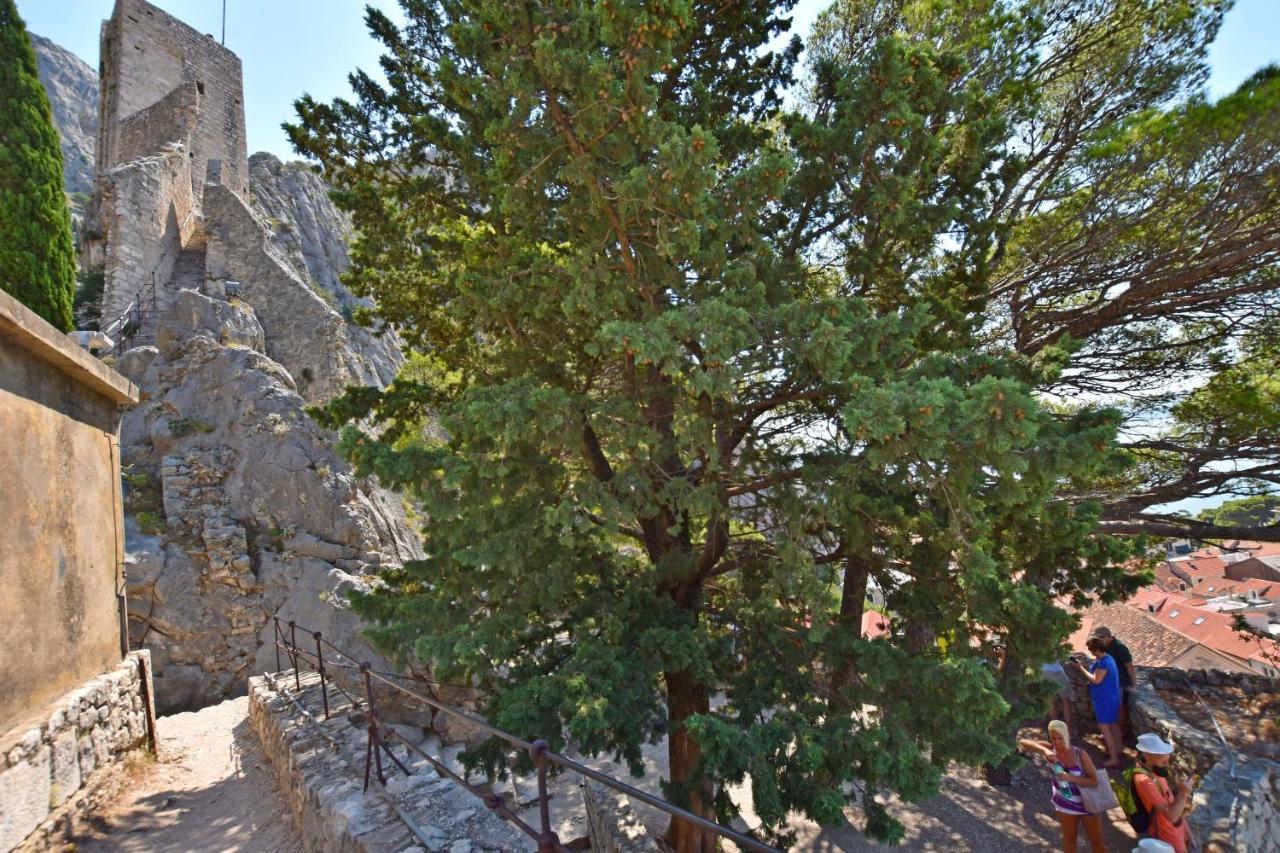Apartment Mate Omiš Dış mekan fotoğraf